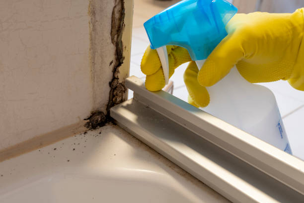 Best Mold Testing  in Sunman, IN
